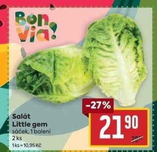 Salát little gem Billa Bonvia