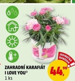 Karafiát