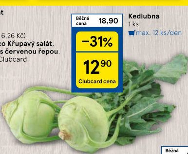 Kedlubna bílá
