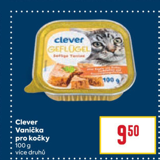 Vanička pro kočkyClever