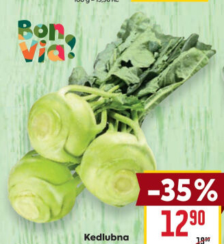 Kedlubna bílá Billa Bonvia