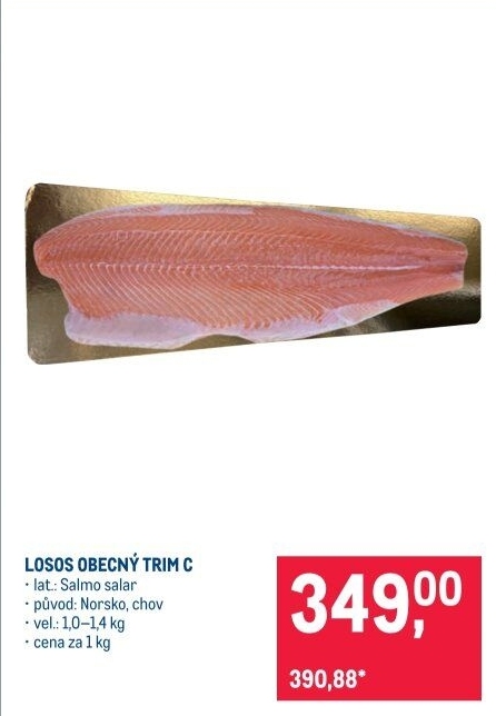 Losos obecný filety