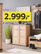 BOTNÍK