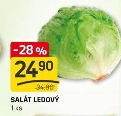 Salát ledový