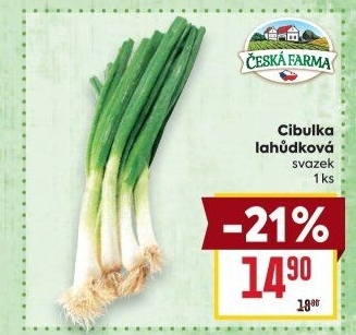 Jarní cibule svazek Česká farma