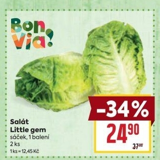 Salát little gem Billa Bonvia