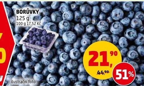 Borůvky