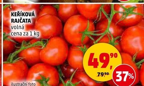 Rajčata keříková