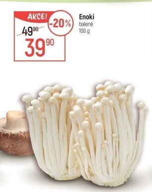 Houby Enoki