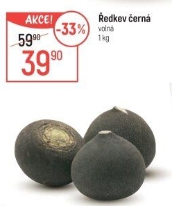 Ředkev černá