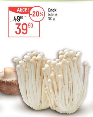 Houby Enoki