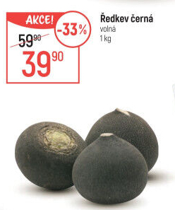 Ředkev černá