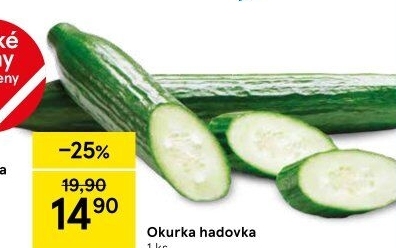 Okurka salátová - hadovka
