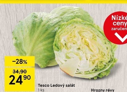 Salát ledový Tesco