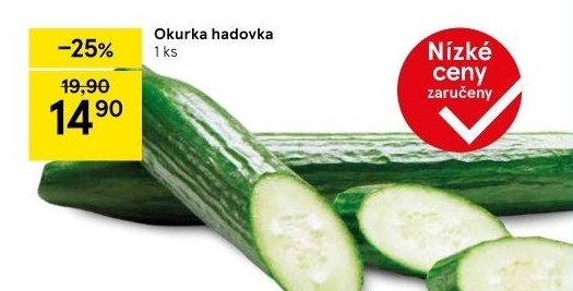 Okurka salátová - hadovka