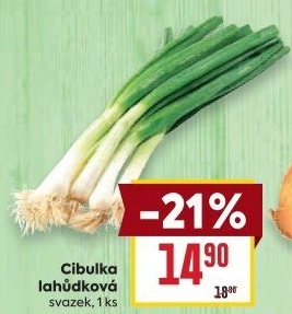 Jarní cibule svazek