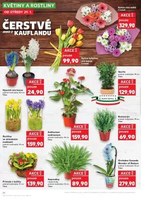akční leták Kaufland 29.1.2025-4.2.2025