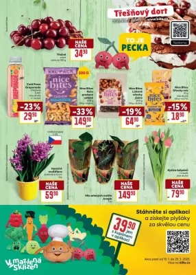 akční leták BILLA 29.1.2025-4.2.2025