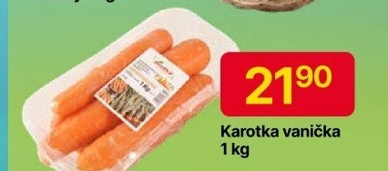 Karotka