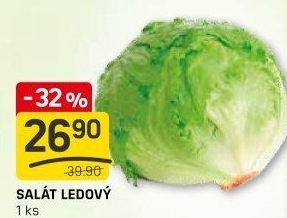 Salát ledový