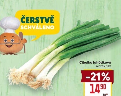 Jarní cibule svazek