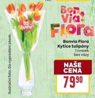 Řezané tulipány Flora Billa Bonvia