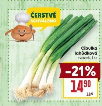 Jarní cibule svazek
