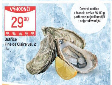 Ústřice velká Fine de Claire