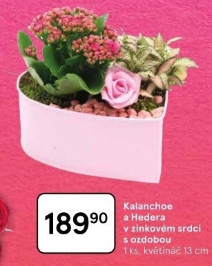Květinové aranžmá