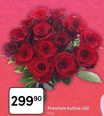 Řezané růže