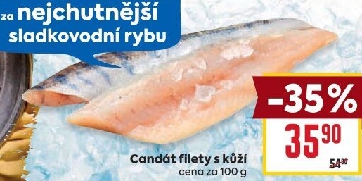 Candát filety
