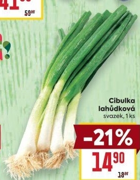 Jarní cibule svazek