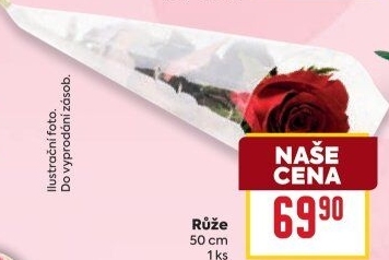 Řezané růže