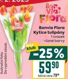 Řezané tulipány Flora Billa Bonvia
