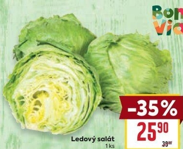 Salát ledový Billa Bonvia