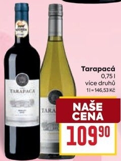 Vína Viňa Tarapaca