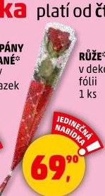 Řezané růže