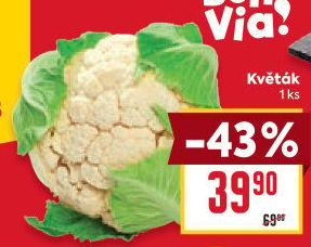 Květák Billa Bonvia