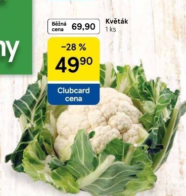 Květák
