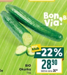 Okurka salátová - hadovka bio Billa Bonvia