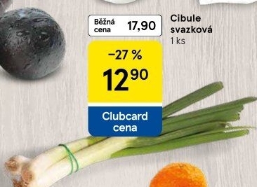 Jarní cibule svazek