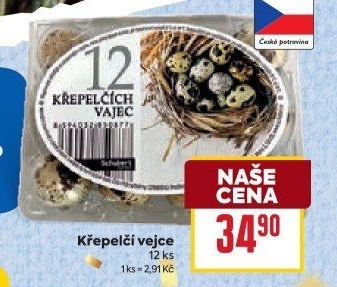 Křepelčí vejce Schubert