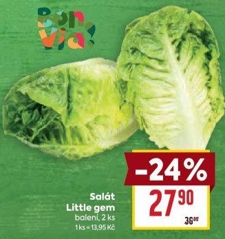 Salát little gem Billa Bonvia