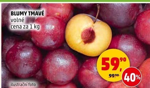 Blumy tmavé