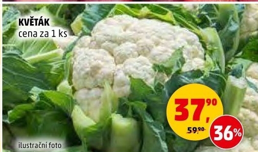 Květák
