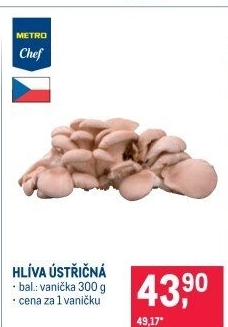 Hlíva ústřičná Metro Chef