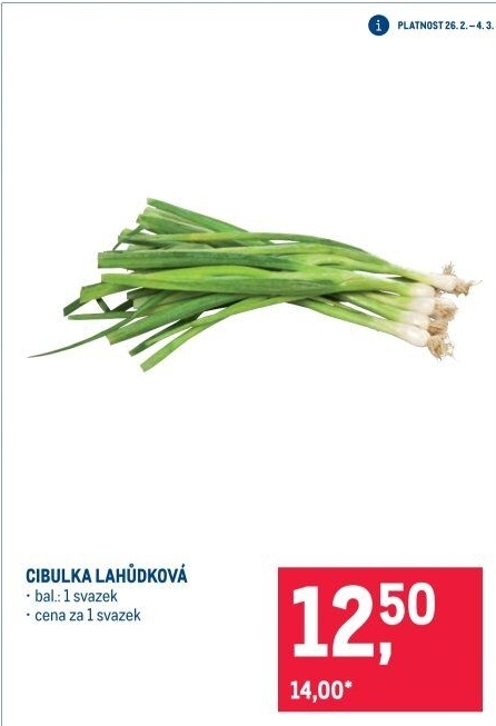 Jarní cibule svazek