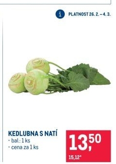 Kedlubna bílá