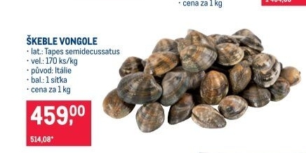Škeble Vongole
