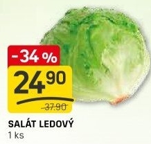 Salát ledový